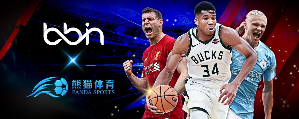 剖析麥拿侖